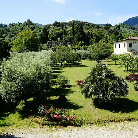 La Vedetta Lukka