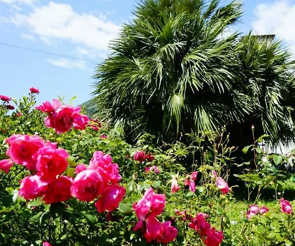 아파트 La Vedetta 루카