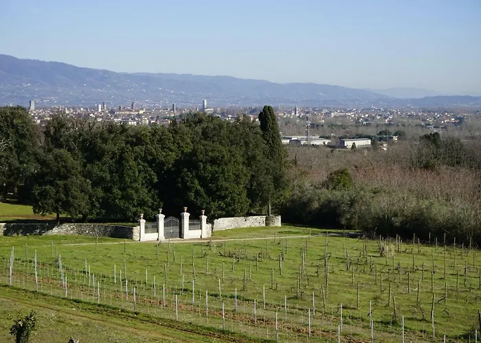 La Vedetta Apartment Lucca